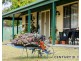 5162 Bucketts Way, Burrell Creek NSW 2429