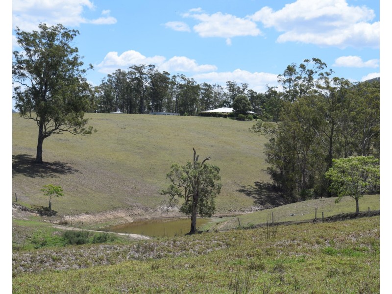 1187  Nowendoc Road, Mount George NSW 2424