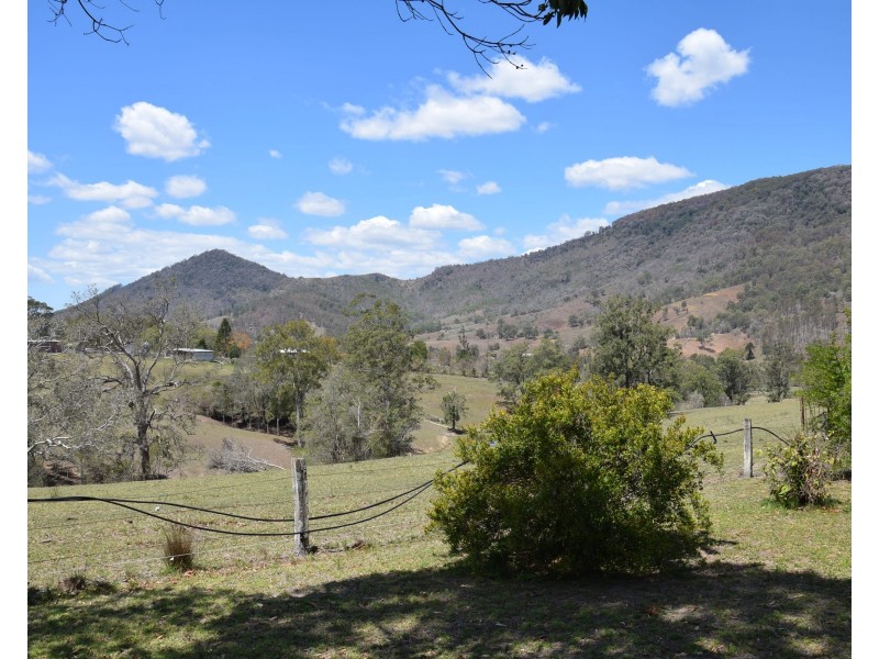 1187  Nowendoc Road, Mount George NSW 2424