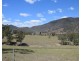 1187  Nowendoc Road, Mount George NSW 2424