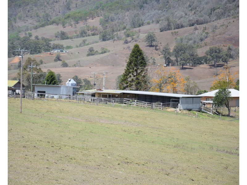 1187  Nowendoc Road, Mount George NSW 2424