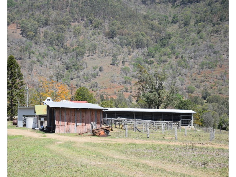 1187  Nowendoc Road, Mount George NSW 2424