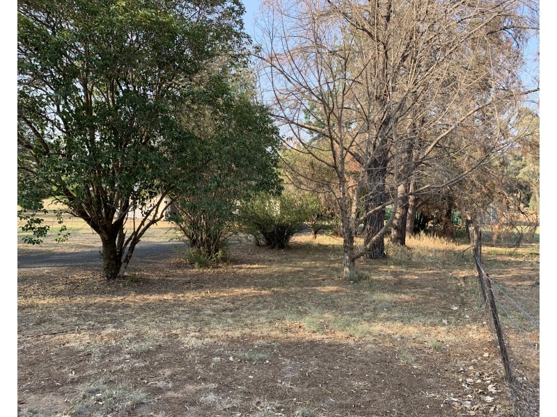 236 Timbor Road, Coonabarabran NSW 2357