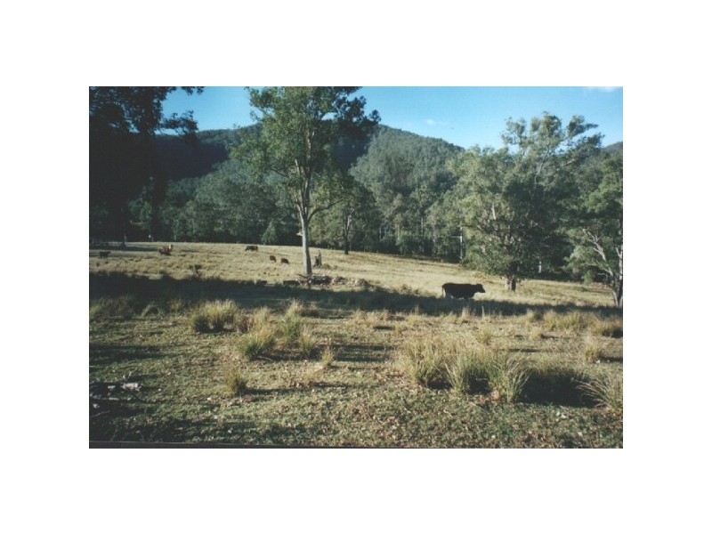 Caparra NSW 2429