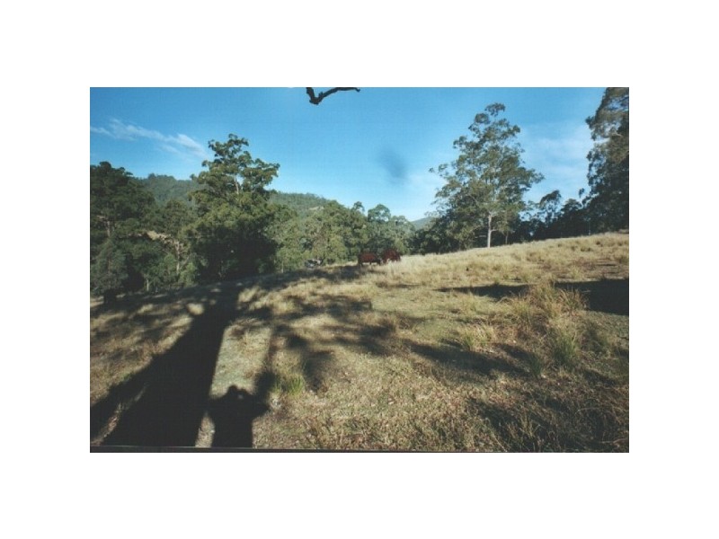 Caparra NSW 2429