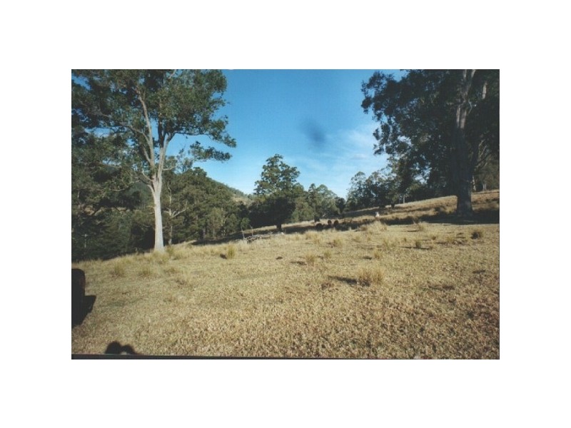 Caparra NSW 2429