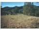 Caparra NSW 2429