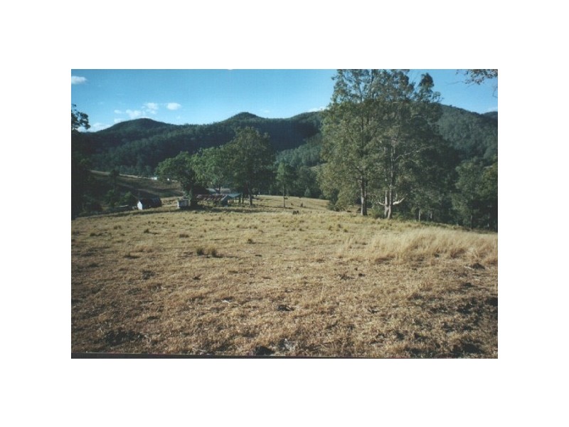 Caparra NSW 2429