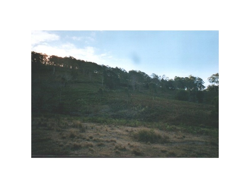 Caparra NSW 2429