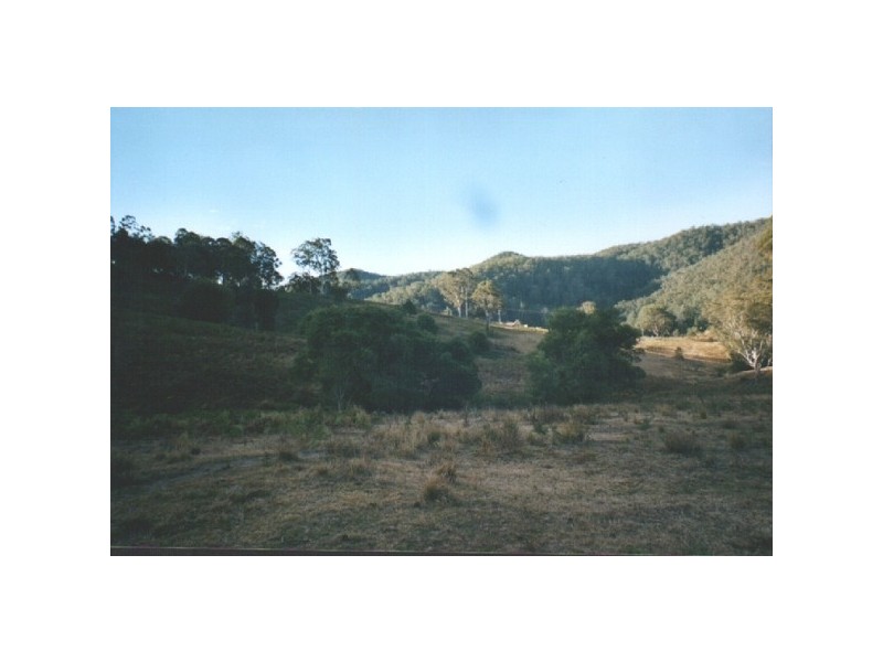 Caparra NSW 2429