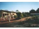Taree NSW 2430