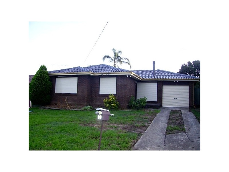 19 Winnipeg Street, Seven Hills NSW 2147