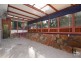 Winston Hills NSW 2153