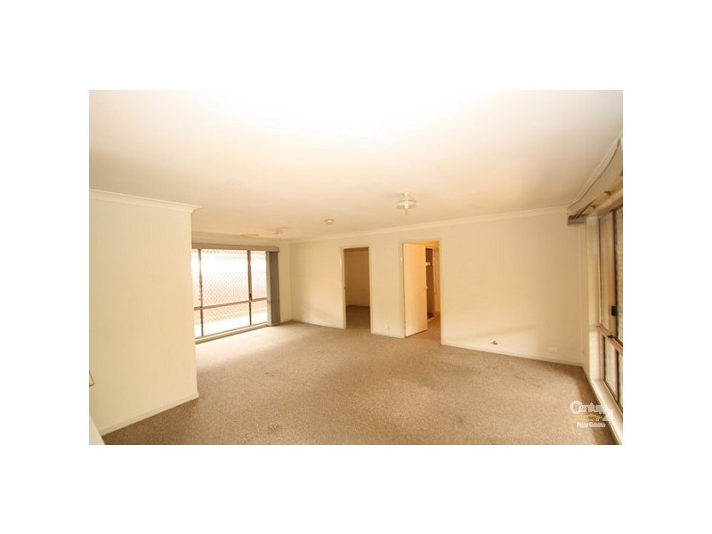 53 Australorp Avenue, Seven Hills NSW 2147