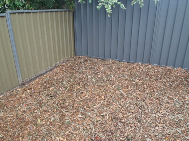 60a Christine Cr, Lalor Park NSW 2147