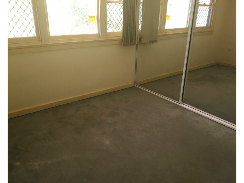 59 Lucas Road, Seven Hills NSW 2147