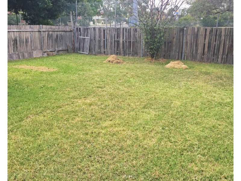 5 Dan Avenue, Blacktown NSW 2148