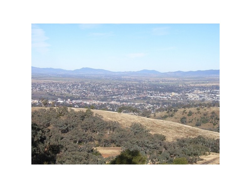 Daves Hill Daruka Rd, Tamworth NSW 2340