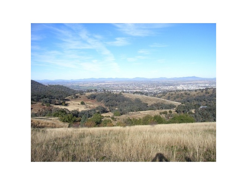 Daves Hill Daruka Rd, Tamworth NSW 2340