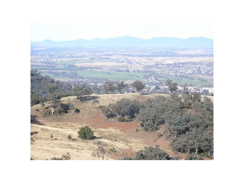 Daves Hill Daruka Rd, Tamworth NSW 2340