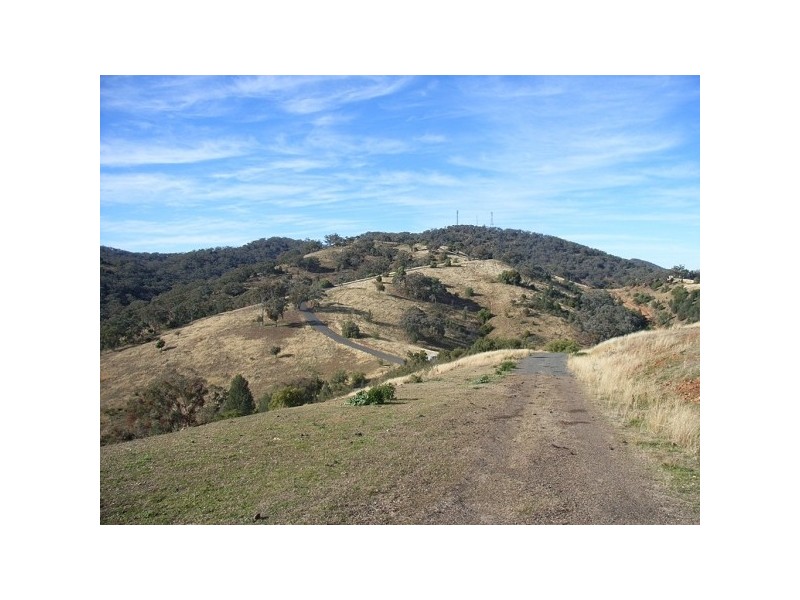 Daves Hill Daruka Rd, Tamworth NSW 2340