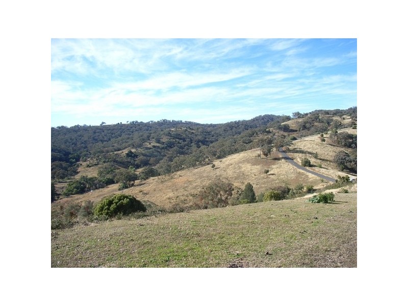 Daves Hill Daruka Rd, Tamworth NSW 2340