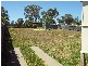 34 Dewhurst Street, Werris Creek NSW 2341