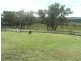 576 Back Kootingal Road, Kootingal NSW 2352