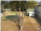 9 Sale Street, Tamworth NSW 2340