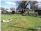1647 Manilla Road, Moore Creek NSW 2340
