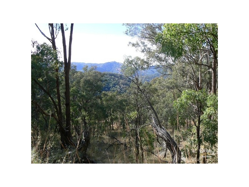 Lot 12 Halls Creek Road, Halls Creek NSW 2346