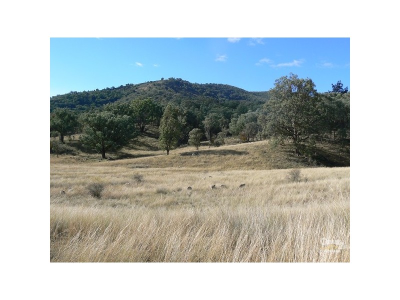 Lot 1 Halls Creek Road, Halls Creek NSW 2346