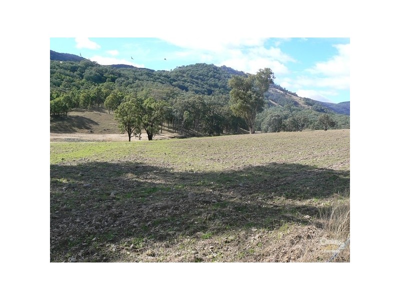 Lot7 Halls Creek Road, Halls Creek NSW 2346