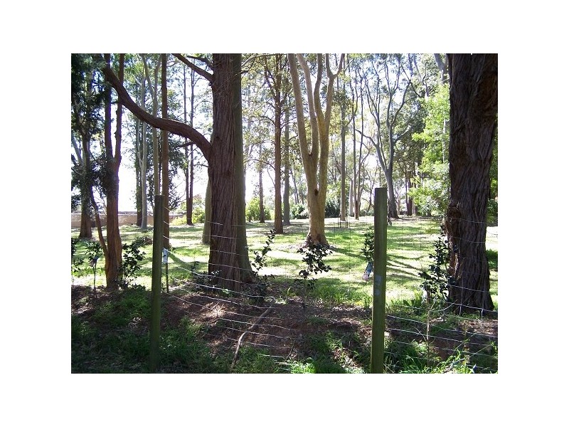 10 Maitland Bay Drive, Killcare Heights NSW 2257