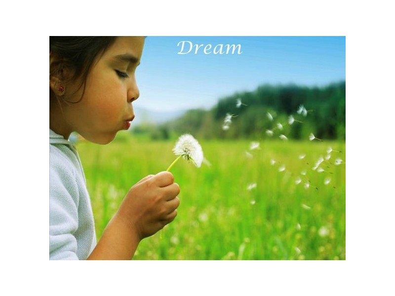 Cnr Harcourt Parade and Delaware Drive, Macquarie Hills NSW 2285