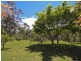 15 Taylor Crescent, Warners Bay NSW 2282