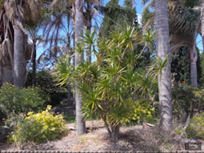 24 Eurabbie Avenue, Warabrook NSW 2304