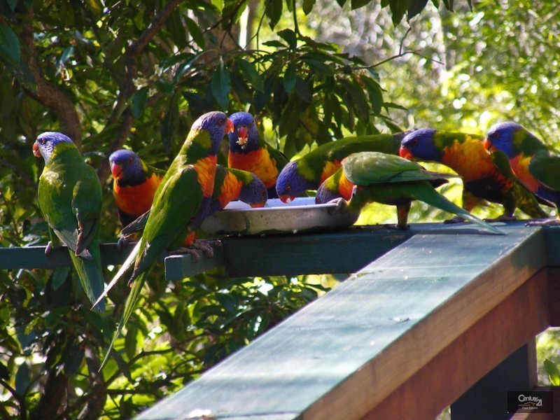 1 Gayton Close, Warners Bay NSW 2282