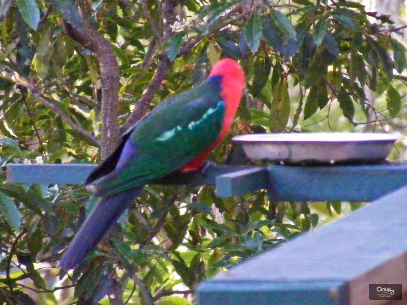 1 Gayton Close, Warners Bay NSW 2282