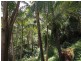 5 Paris Crescent, Valentine NSW 2280
