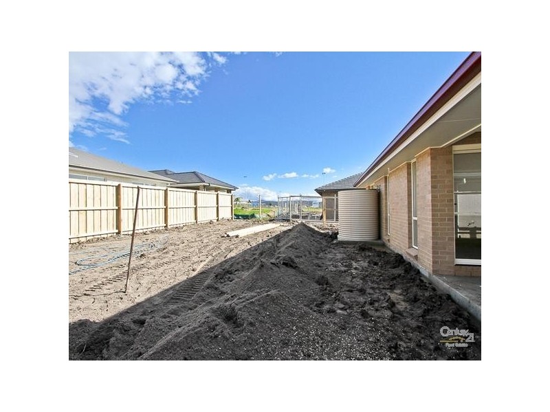 31 Tibin Drive, Fletcher NSW 2287