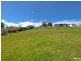 16 Clarke Street, Catherine Hill Bay NSW 2281