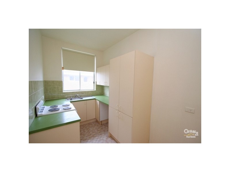 11/10 Major Street, Coogee NSW 2034