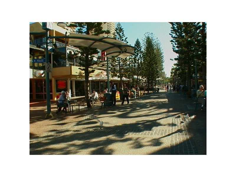 Surfers Paradise QLD 4217