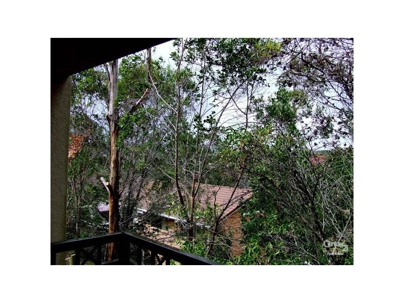 Reedy Creek QLD 4227