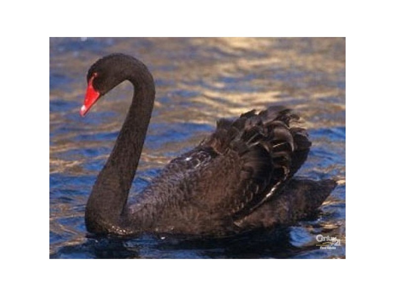 Mermaid Waters QLD 4218