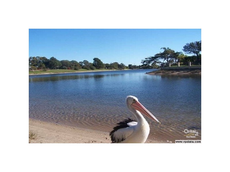 Mermaid Waters QLD 4218