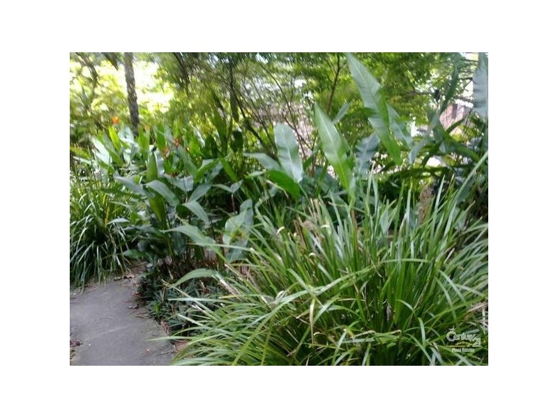 Burleigh Heads QLD 4220