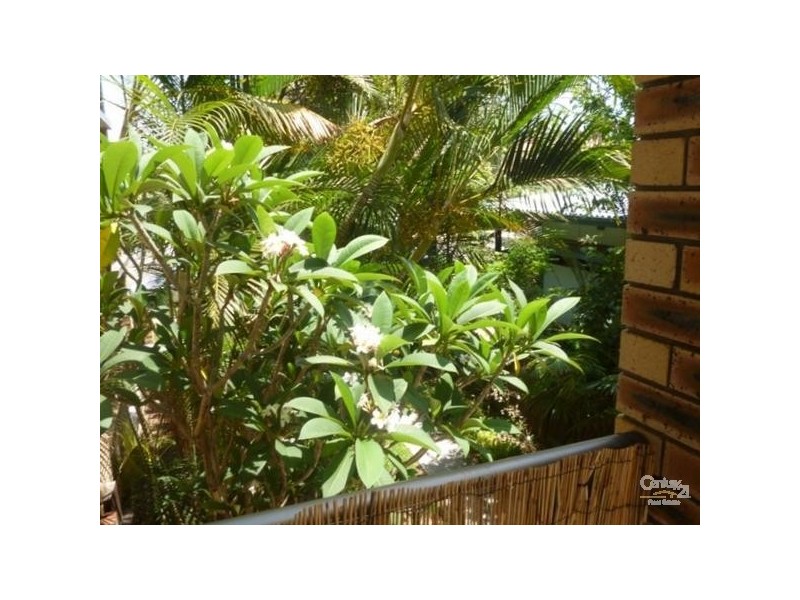 Palm Beach QLD 4221