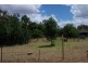 Pentland QLD 4816